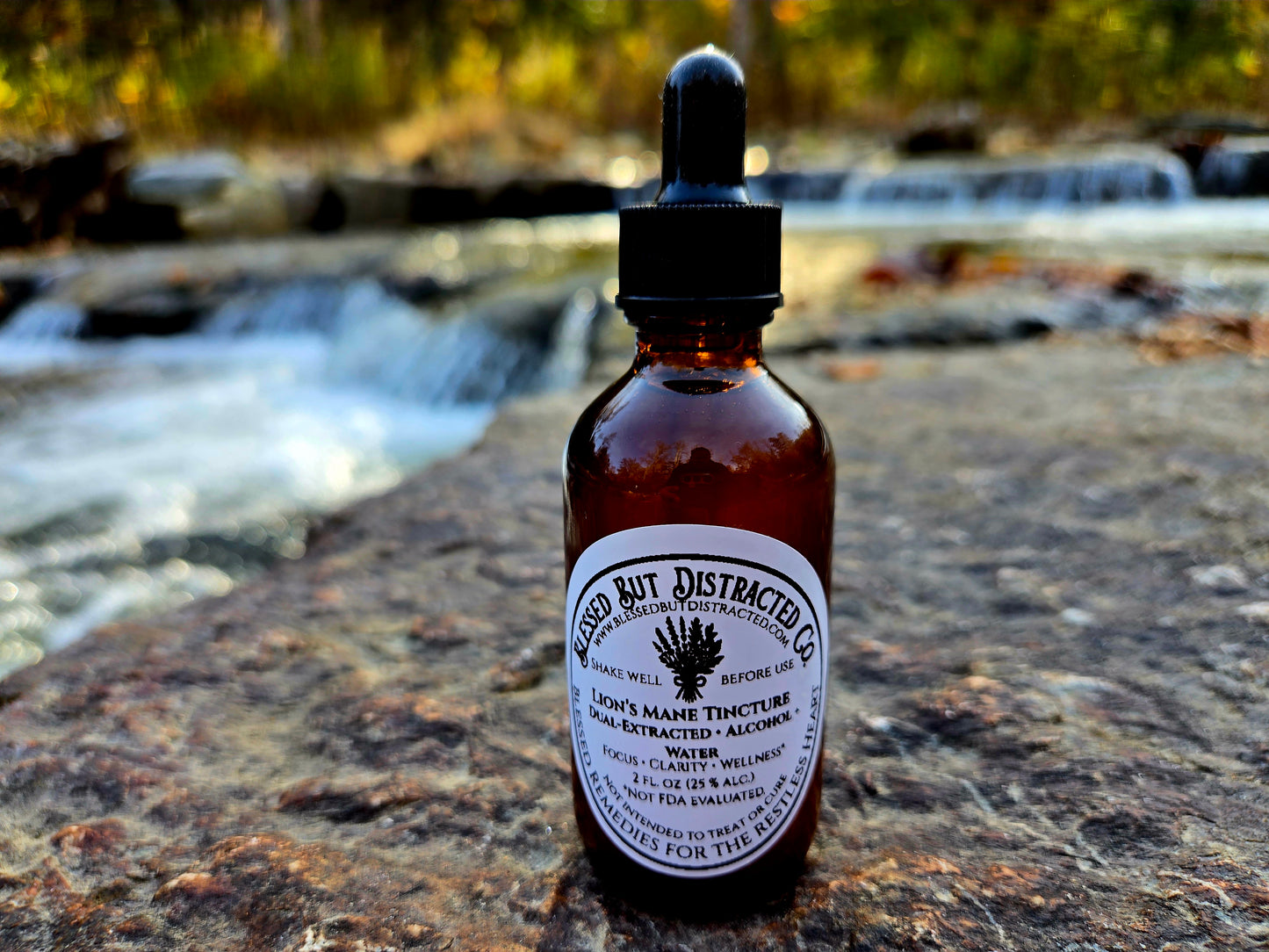 🍄 Blue Ridge Lion’s Mane Dual Extract Tincture — 2 oz