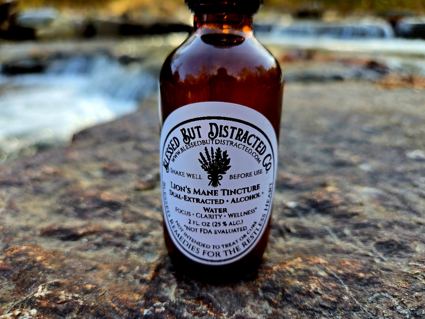 🍄 Blue Ridge Lion’s Mane Dual Extract Tincture — 2 oz
