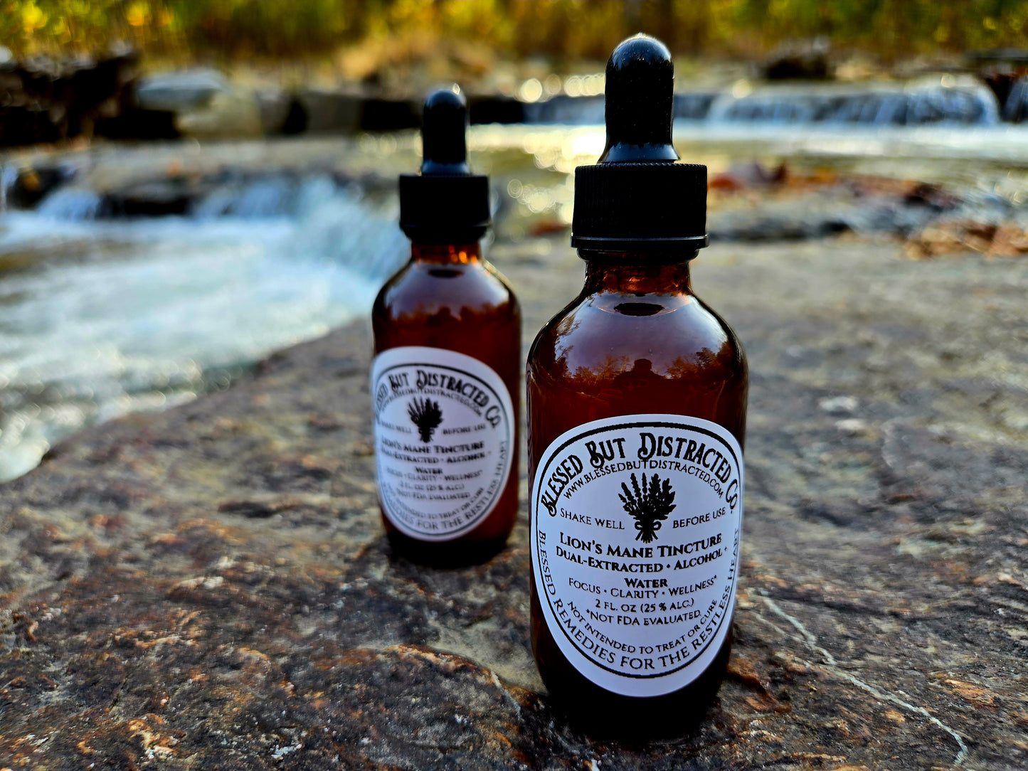 🍄 Blue Ridge Lion’s Mane Dual Extract Tincture — 2 oz