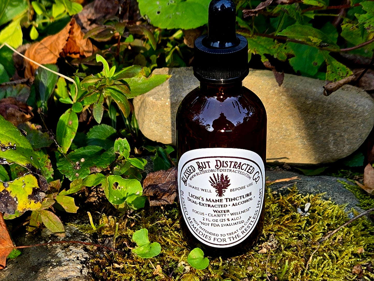 🍄 Blue Ridge Lion’s Mane Dual Extract Tincture — 2 oz