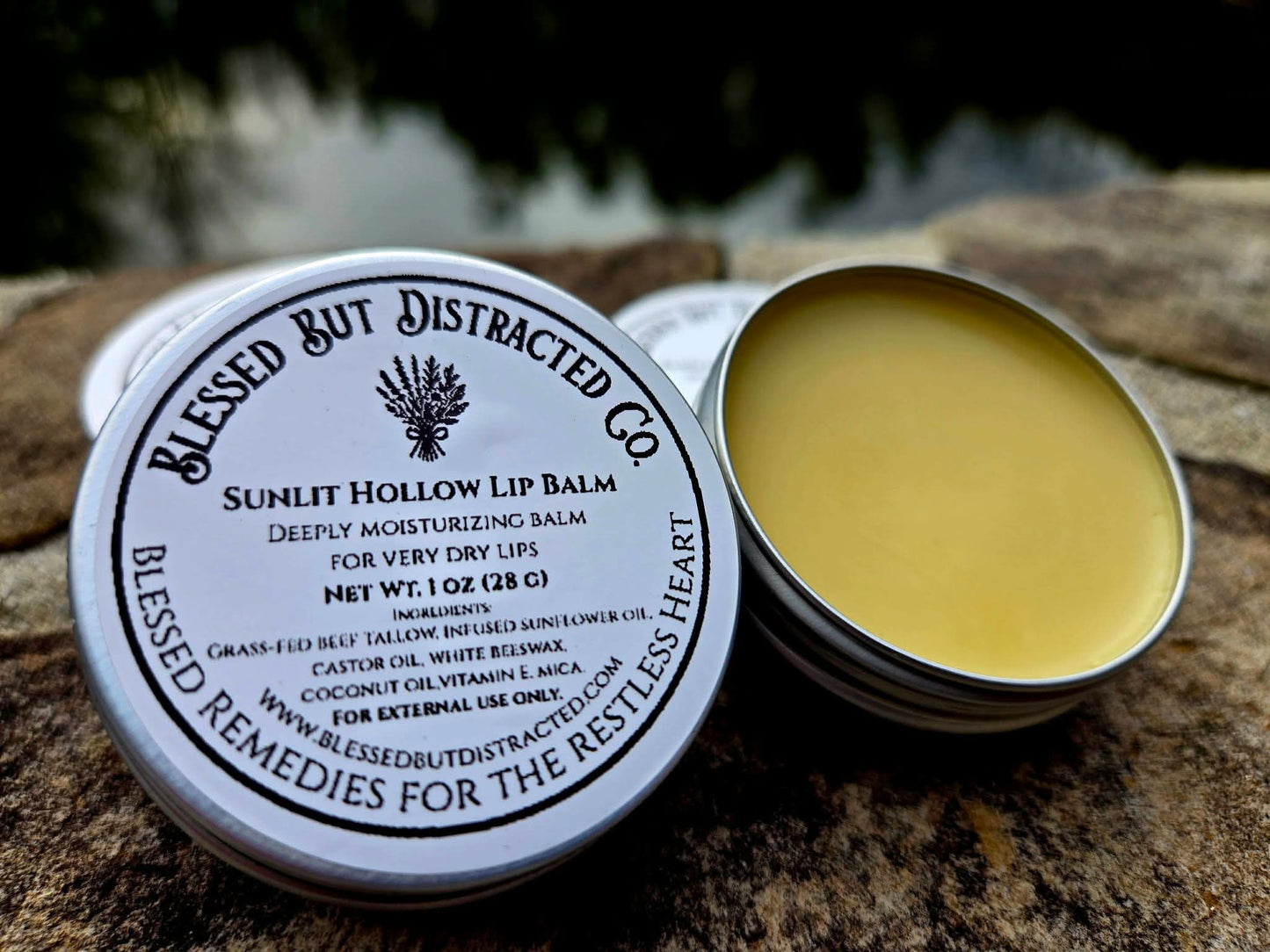 Sunlit Hollow Lip Balm | Botanical Tallow Lip Care with Calendula & Chamomile