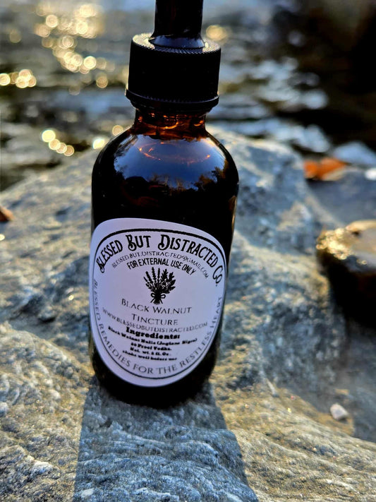 🌿 Black Walnut Tincture
